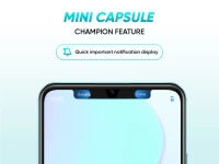 Mini-capsule Design