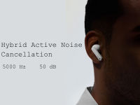 Hybrid Active Noise Cancellation