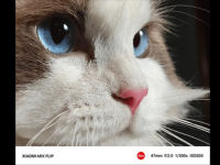 Macro photography Capture and display stunning details