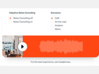 True Adaptive Noise Cancelling