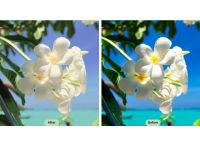 Sunlight Display Enhancement