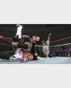 Sony WWE 2K24 PS5 Gaming CD