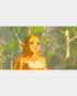 The Legend of Zelda : Breath of The Wild - Nintendo Switch