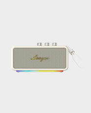 Lenyes S876 90W Wireless Speaker in Qatar