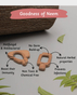 Ariro Wooden Teethers - Cheese and ice-cream stick
