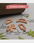 Ariro Wooden Teethers - Treats