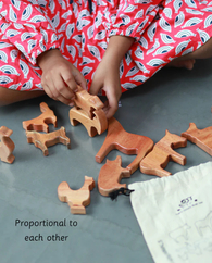 Ariro Wooden Farm Animals (Set of 13)