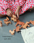 Ariro Wooden Farm Animals (Set of 13)