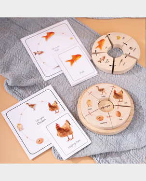 Ariro Life Cycle Puzzle