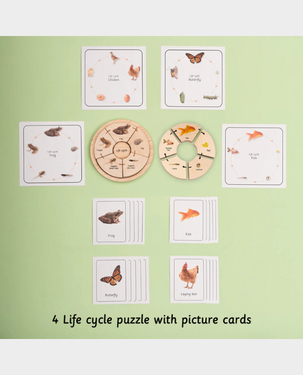 Ariro Life Cycle Puzzle