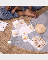 Ariro Life Cycle Puzzle