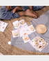 Ariro Life Cycle Puzzle