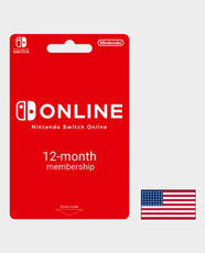 Nintendo 12 Months