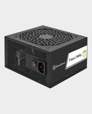 SilverStone Triton 750Rx Power Supply | 750W | Cybenetics Gold | ATX 3.1 Form Factor | 1 × 120mm ICB Fan | CE, FCC, RoHS Certified