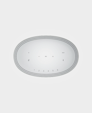 Bose Home Speaker 500 Silver in Qatar