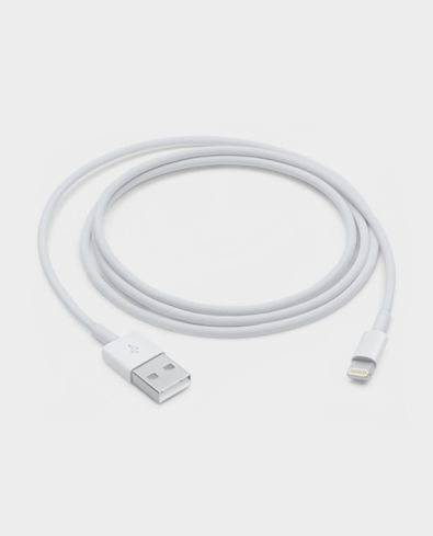 Buy Apple 1m USB to Lightning Cable (MXLY2ZM/A, White) Online At