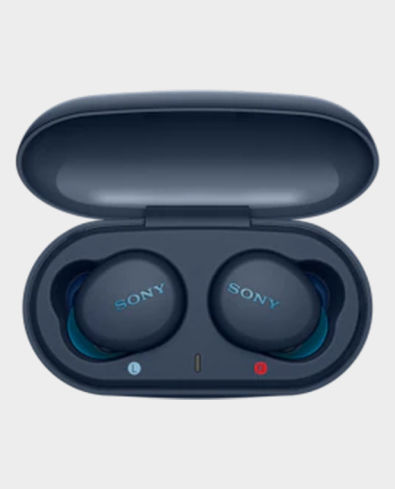 Sony True Wireless Bluetooth Earbuds (SONY-WFXB700)