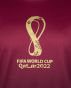 FWC Qatar 2022 Official Emblem Gradient Jersey Premium (Size: XL) (Men) FH0093
