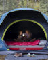 Coleman 2000037937 Skydome 4-Person Dark Room Camping Tent