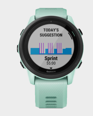 Garmin 010-02445-11 Forerunner 745 Advanced GPS Running and Triathlon Smartwatch