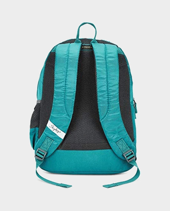 Buy Skybags Brat Casual Backpack 46cm (Sea Green) in Qatar