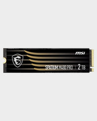 MSI Spatium M480 Pro PCIe 4.0 NVMe M.2 2TB HS SSD