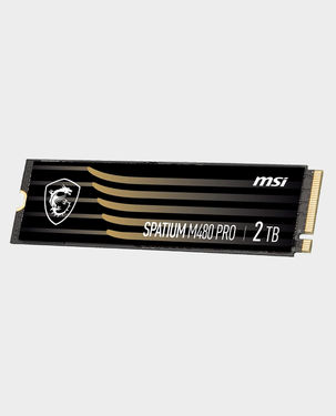 MSI Spatium M480 Pro PCIe 4.0 NVMe M.2 2TB HS SSD