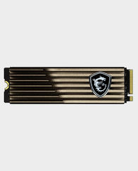 MSI Spatium M460 PCIe 4.0 NVMe M.2 1TB HS SSD