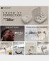 Motorola Moto Buds+ True Wireless Earbuds  38 Hours Playtime  ANC  Sound By Bose Dolby Atmos Water Protection  PG38C05742 (Beach Sand)