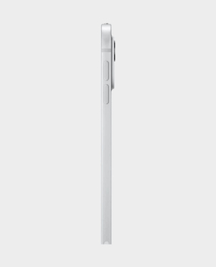 Apple iPad Pro 11 inch M4 chip WiFi 2TB MVVH3AB A (Silver)