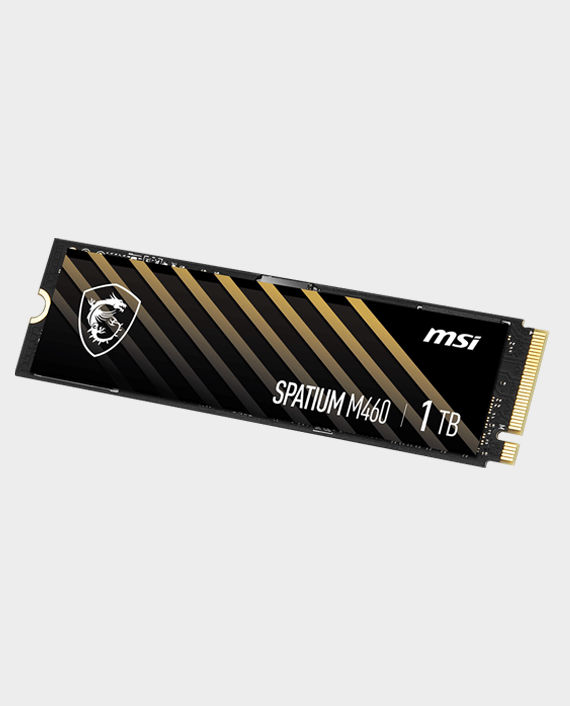 MSI SPATIUM M460 SSD NVMe PCIe 4.0 1To - Vitesse 5000/4500 MB/s - 3D NAND - Garantie 5 Ans