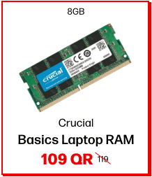 Crucial Basics RAM